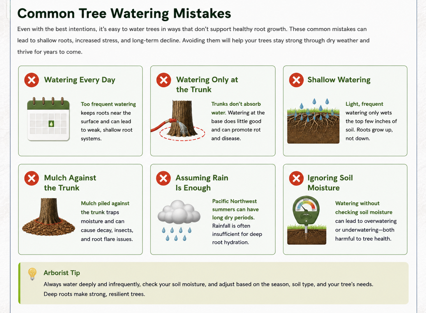 Infographic showing common tree watering mistakes including watering the trunk, shallow watering, overwatering, and mulch against the trunk.