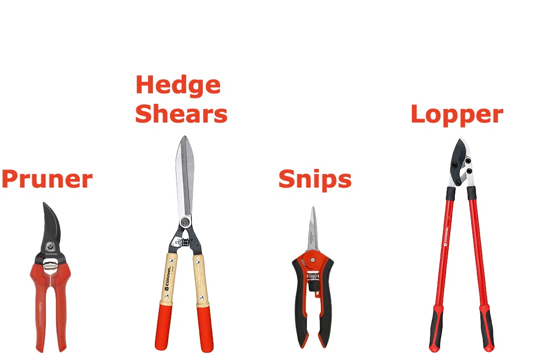 Corona Pruning Tools