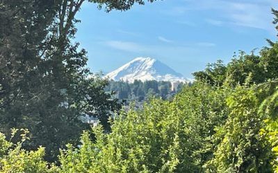 Snow-capped mountain above lush green trees under a clear blue sky