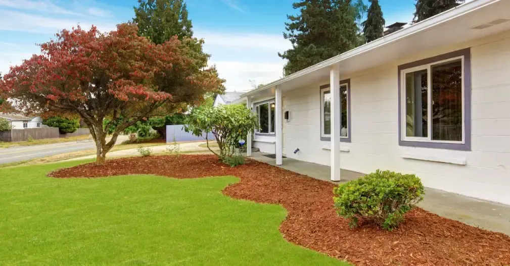 a white house with a lush green lawn and trees in front of it .