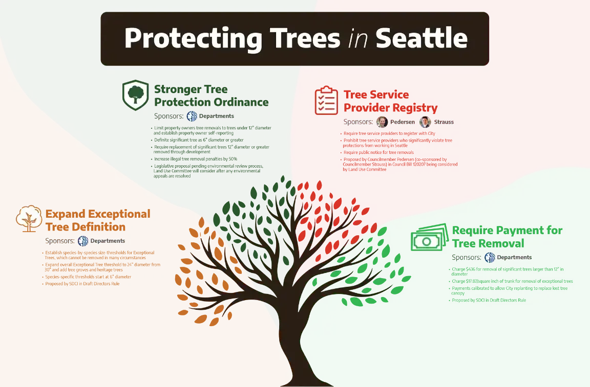 why you must hire a city-approved tree service in seattle wa, sound tree care