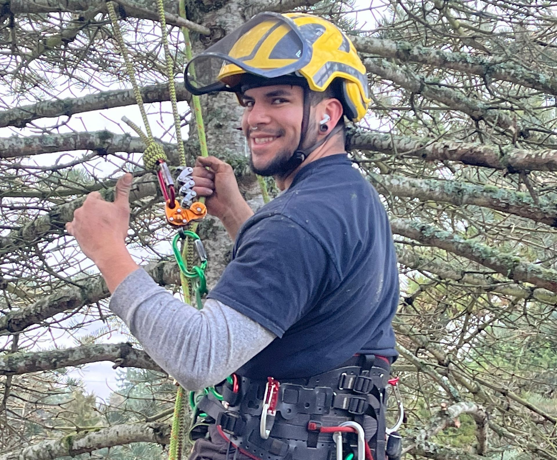 Certified Arborist trims Mercer Island tree