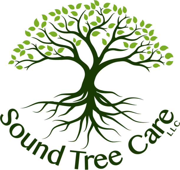 Logo of a tree with green leaves and roots, text 