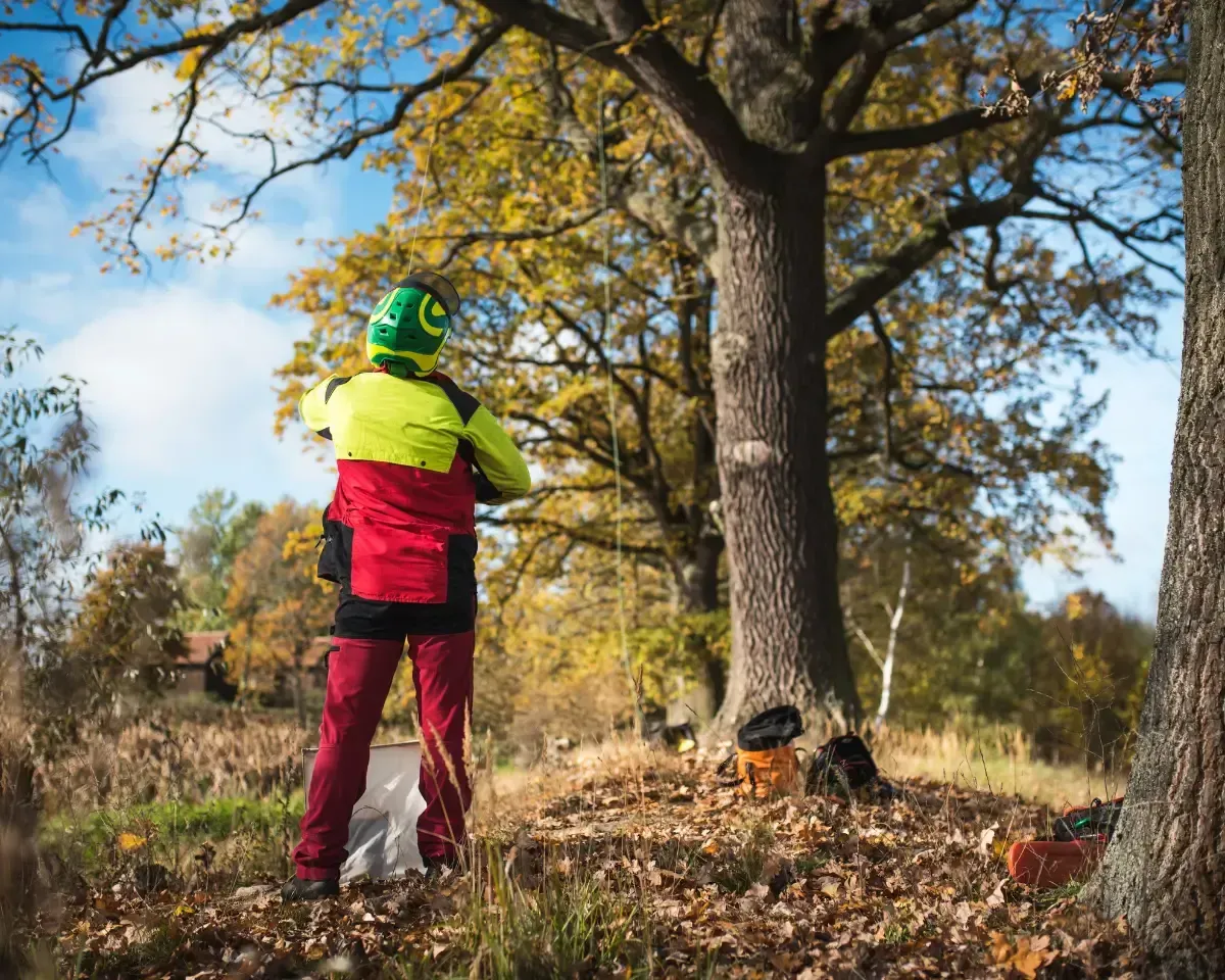 Person in a bright jacket and green helmet stands in a leafy park beside a large tree.