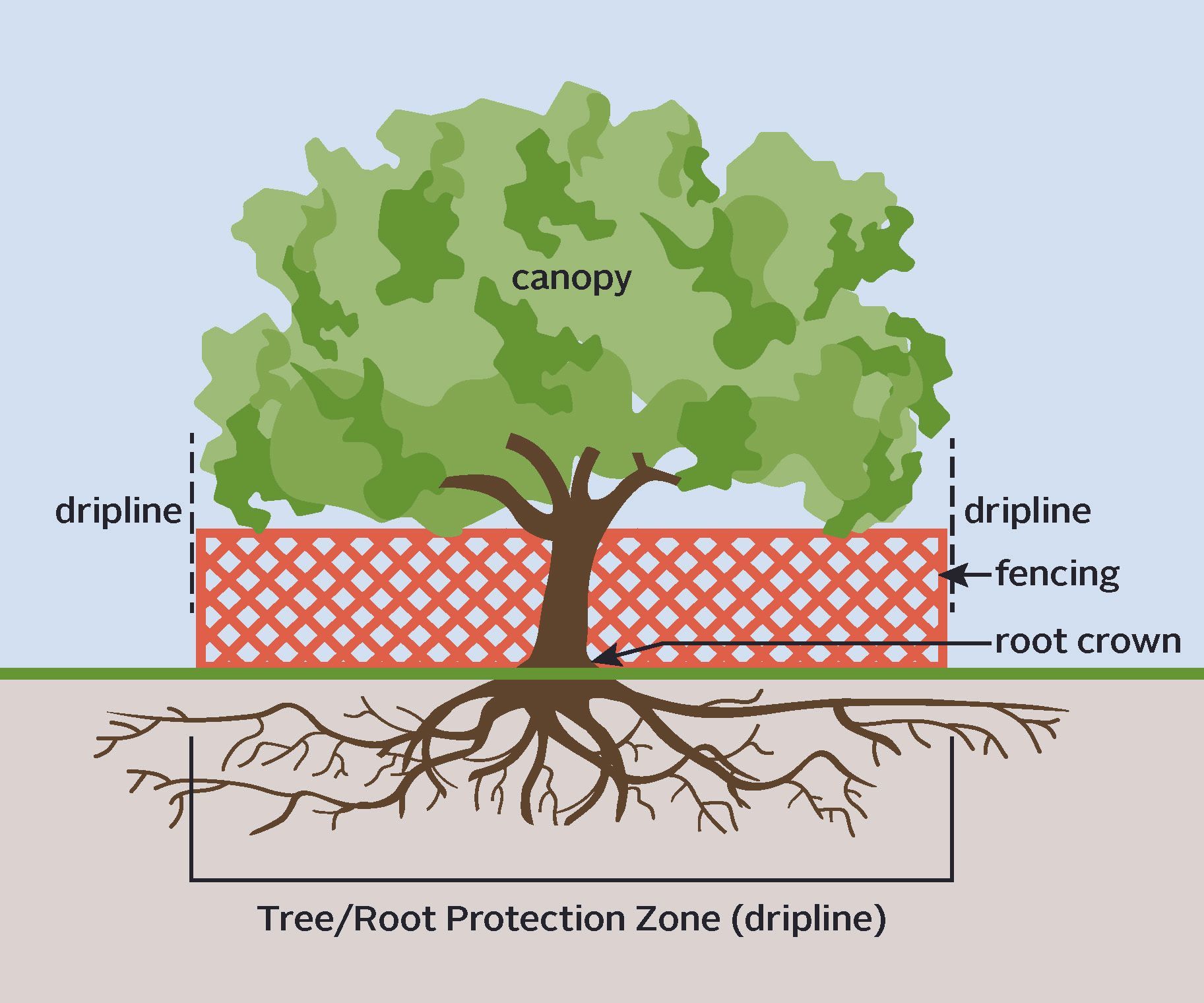 Tree protection zone diagram for arborist reports