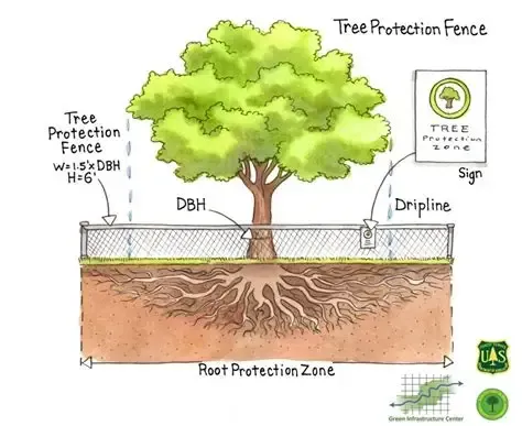 USFS Tree Protection Fencing graphic