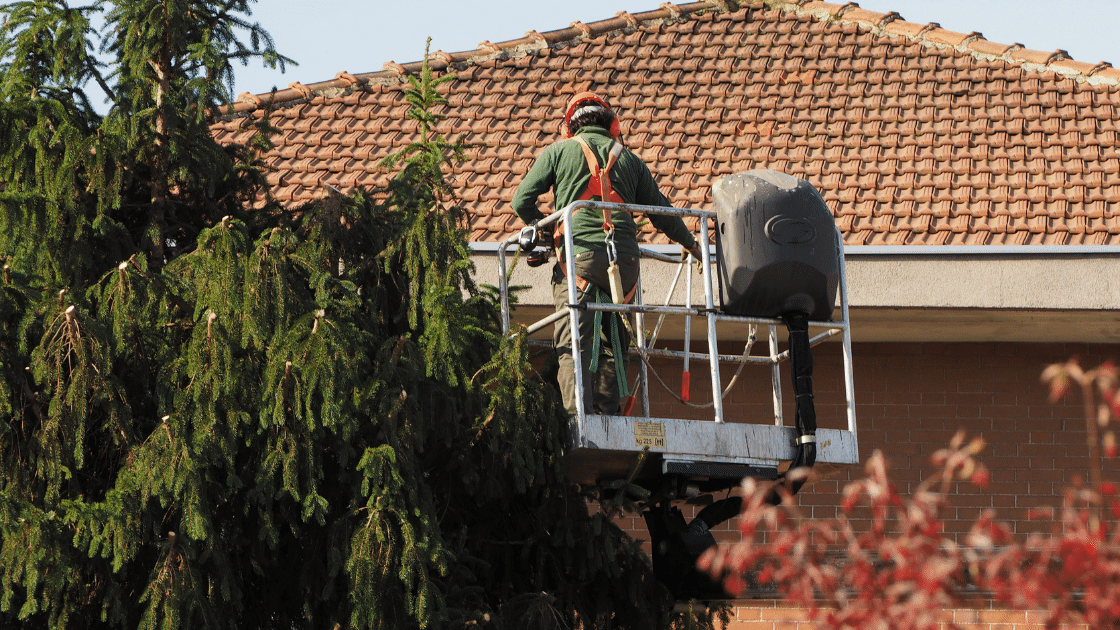 Worker in a lift platform trimming tree branches near a building with a tiled Seattle roof.