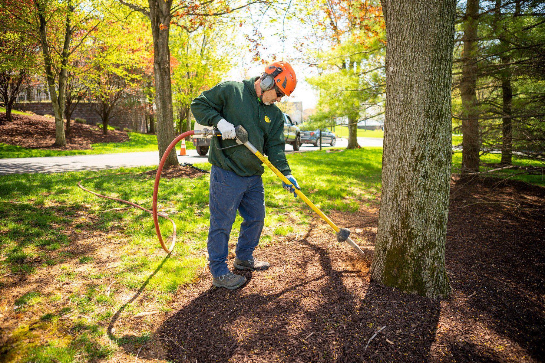 Worker using an airspade to clear mulch around a tree in a sunny park