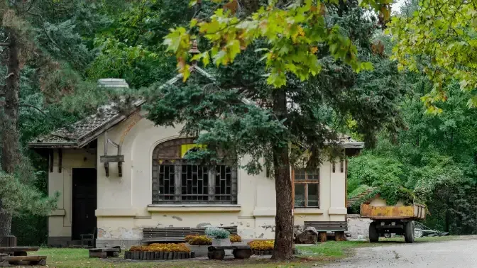 Tree Trimming Rental Properties In Seattle WA, Sound Tree Care LLC