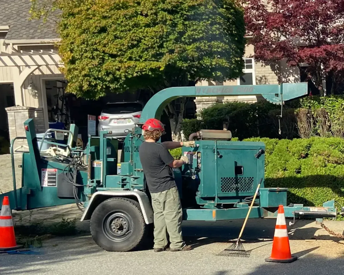 Wood chipping service processing tree branches and pruning debris into fresh mulch for landscaping and garden use.