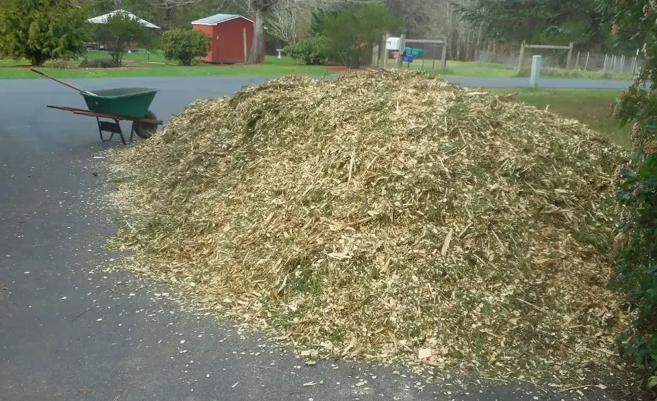 arborist wood chips 