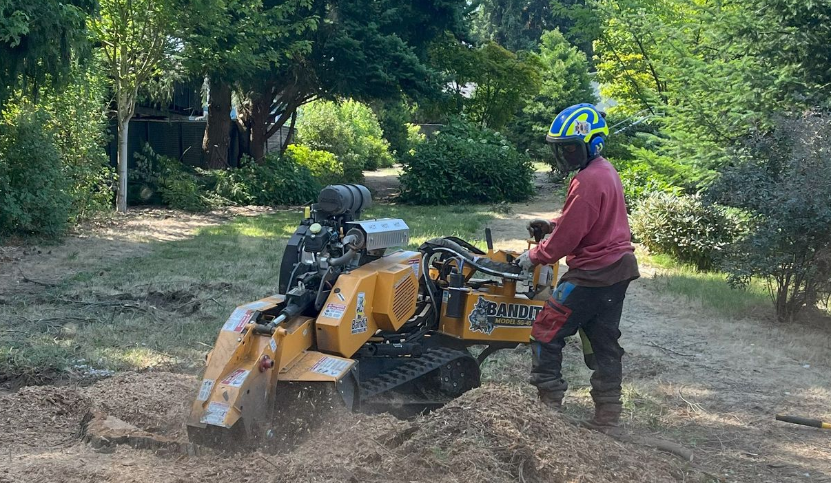 Person operating a yellow stump grinder in a wooded area, with wood chips flying.