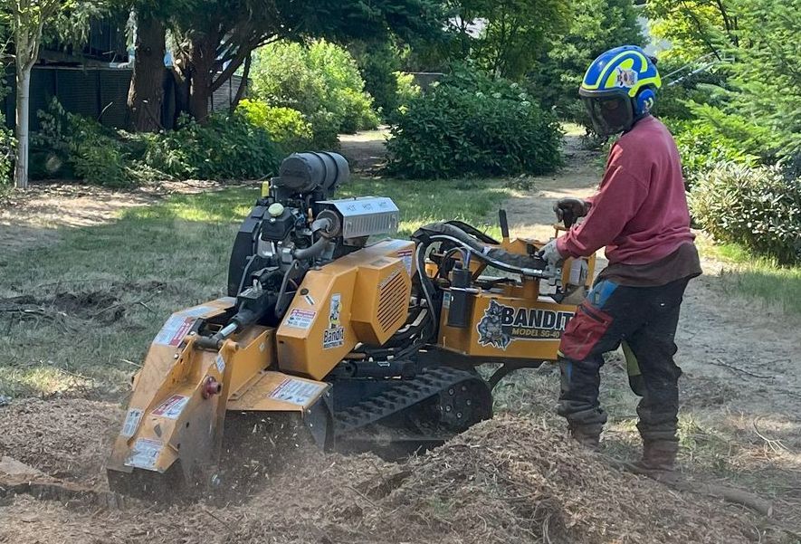 Worker operating a yellow tracked stump grinder in a grassy yard, kicking up wood chips.