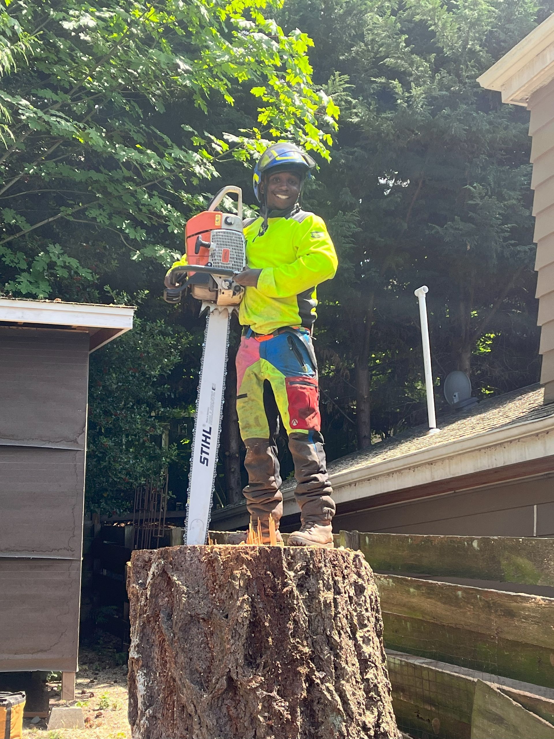 arborist poses on stump with chainsaw