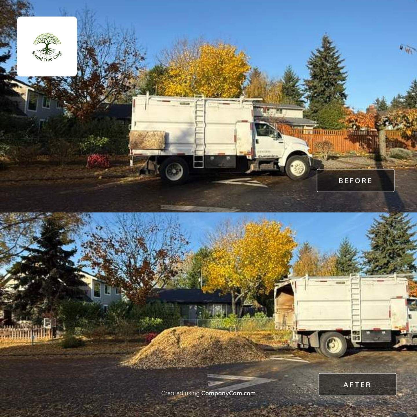 Before and after free wood chip delivery in Seattle showing a chip truck and a freshly unloaded pile of arborist wood chips.