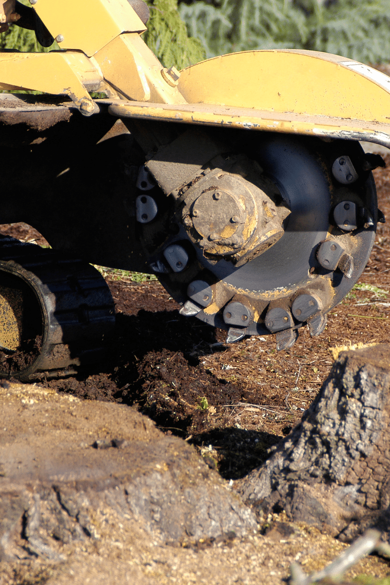 Close-up of brown wood chips and mulch pieces covering the ground.