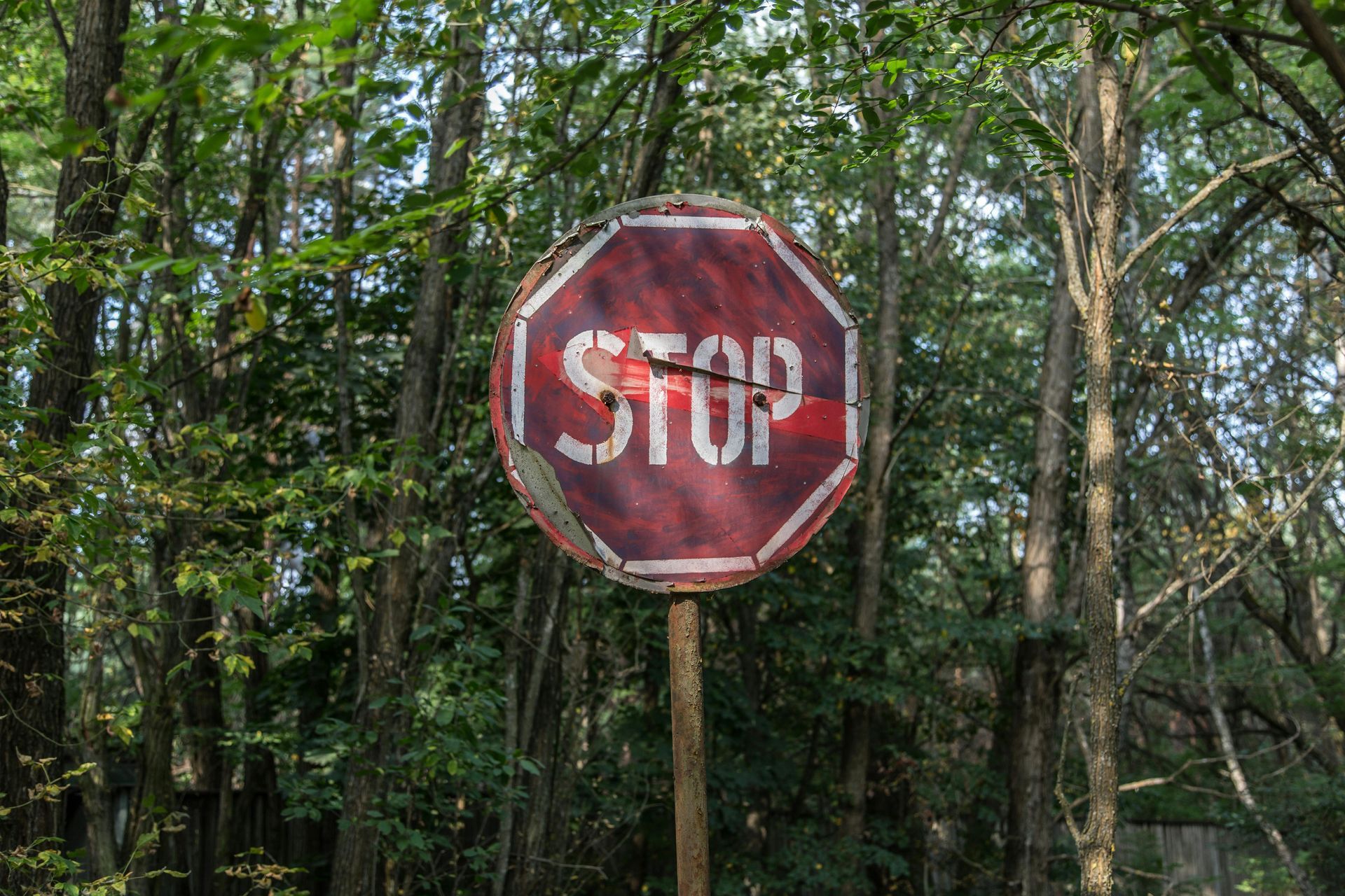 Weathered red stop sign on a post in a wooded forest