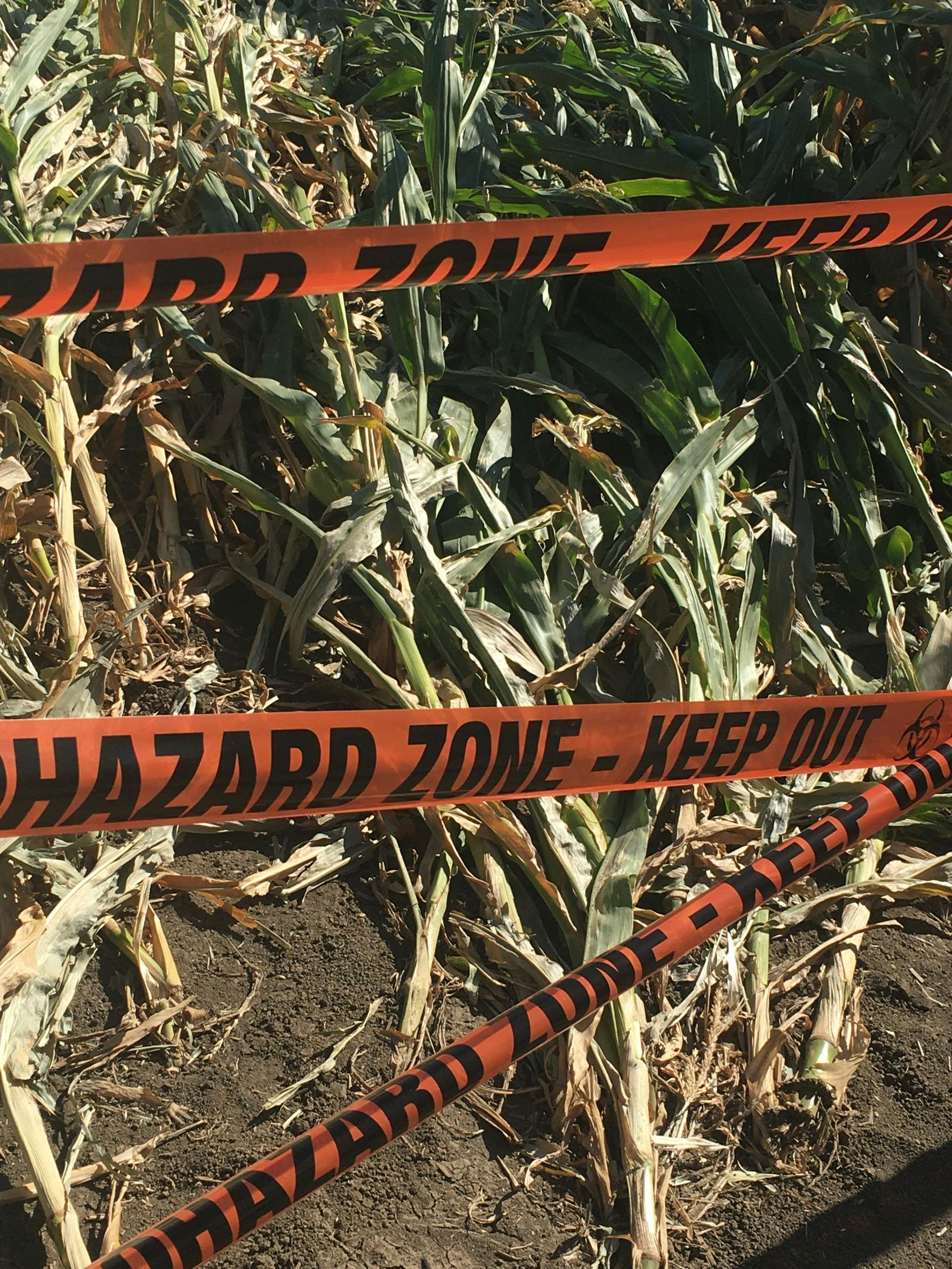 Caution tape restricting access to chemical spill site