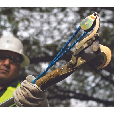 Professional arborist using a pole pruner to prune tree branches from the ground