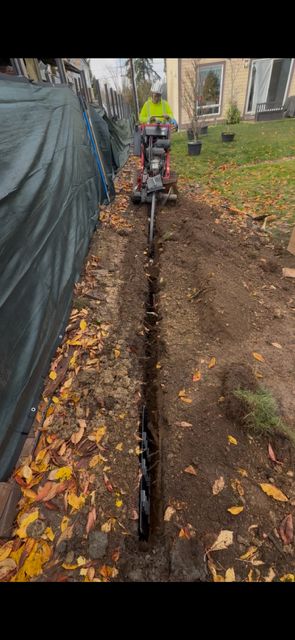 ISA Certified Arborist installing a root protection barrier during construction trenching near protected trees in Seattle, Washington.