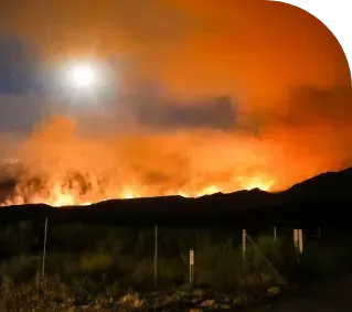 wild fire