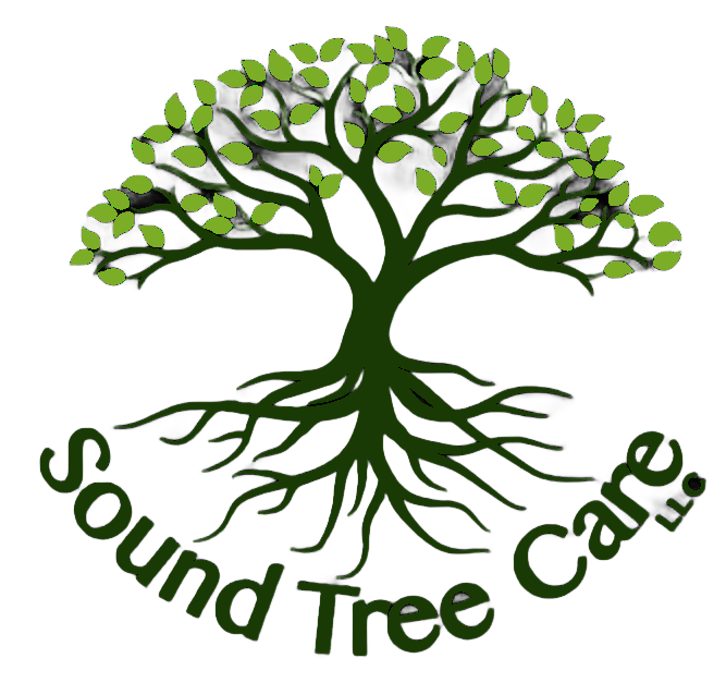 Sound Tree Care LLC logo with a green tree and roots, text arched below