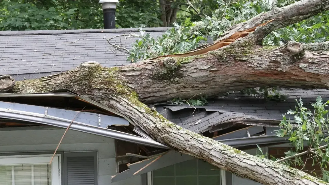 tree fallen on house, reasons to trim the trees on your rental property in seattle wa, sound tree care llc