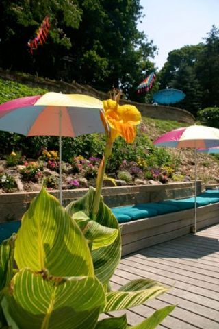 A flower is surrounded by umbrellas on a deck