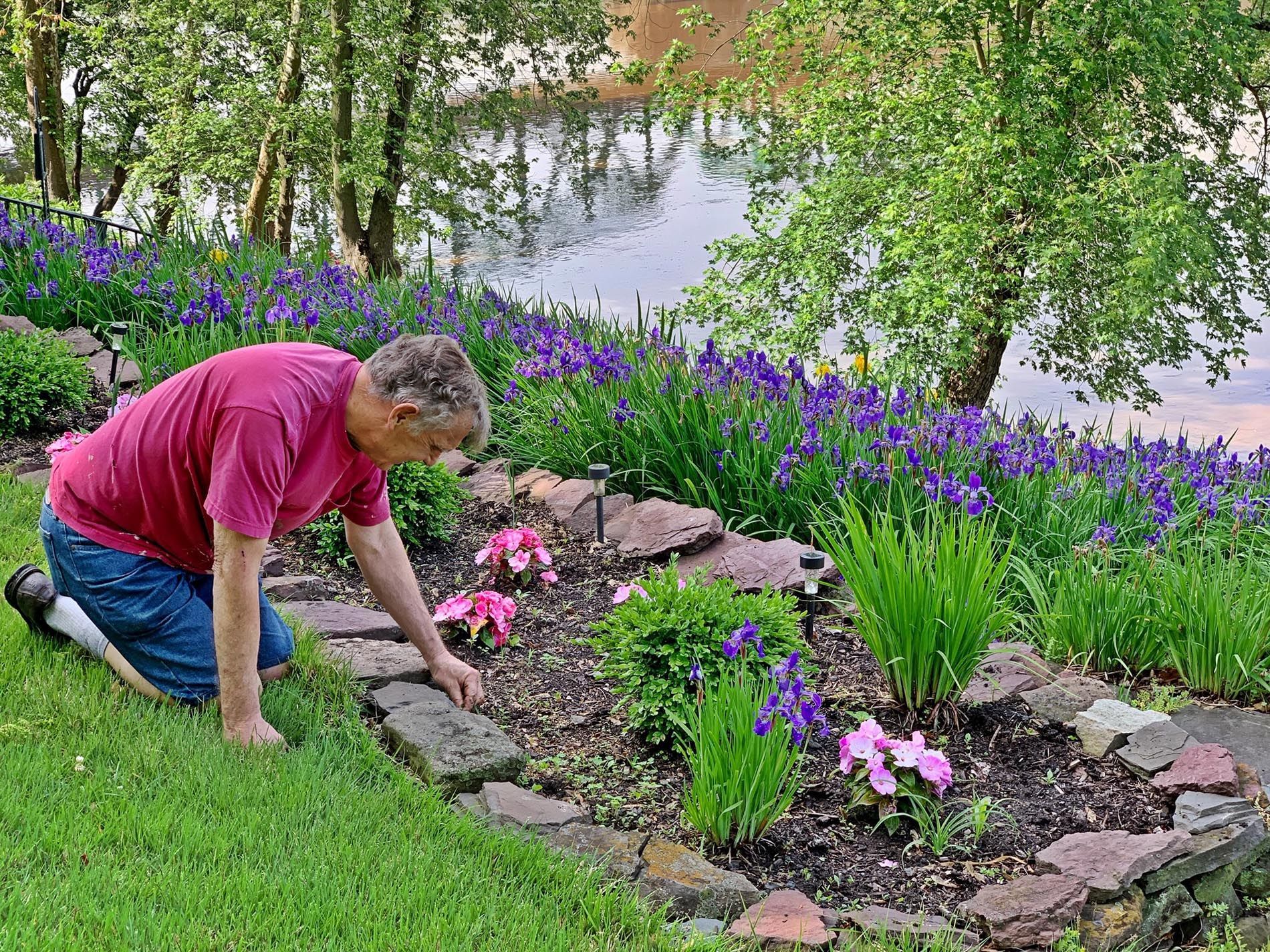 A man is kneeling down in a garden looking at flowers.