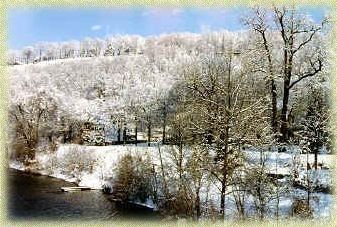A snowy forest with trees covered in snow and a river in the foreground.