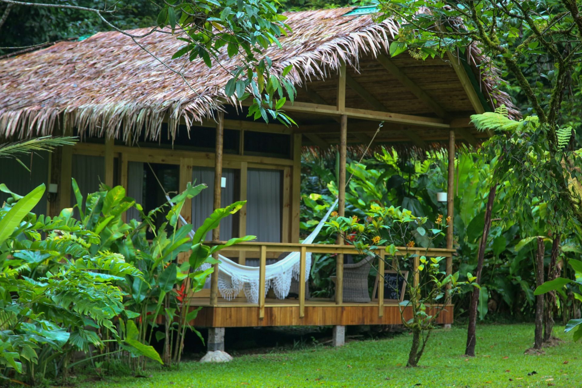 Thatched forest cabana with an open veranda