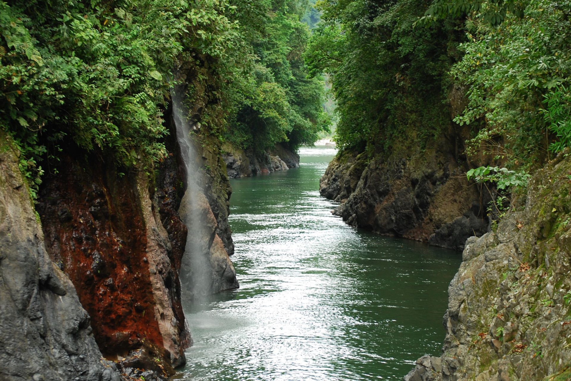 The Pacuare River flowing through a steep forested gorge