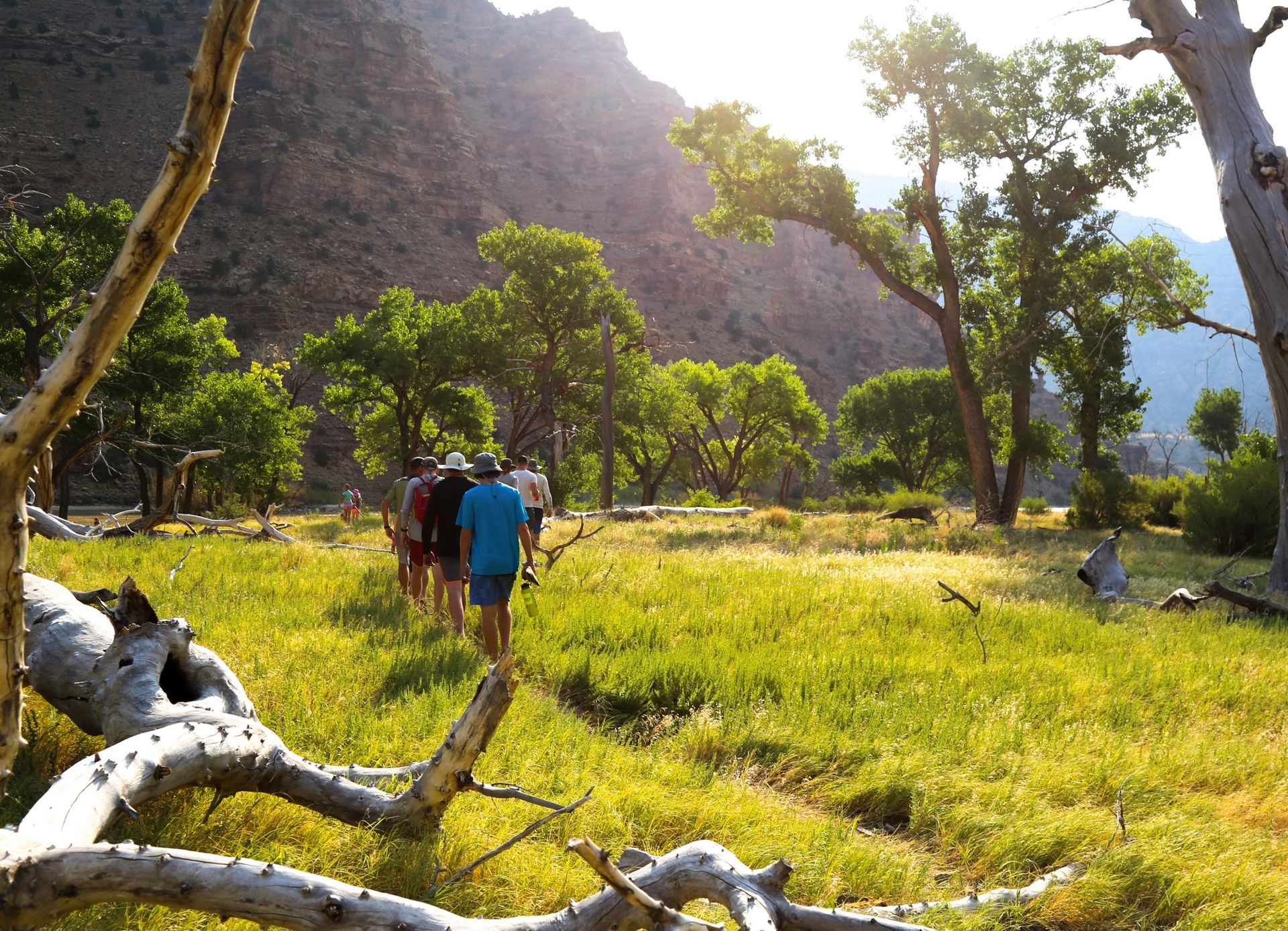 Guests hike through a green meadow beneath canyon walls