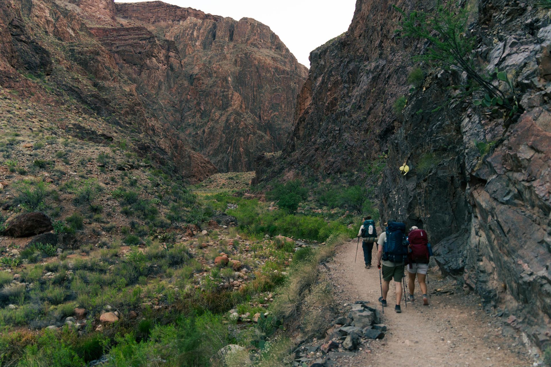 Two hikers walk along a trail through Grand Canyon