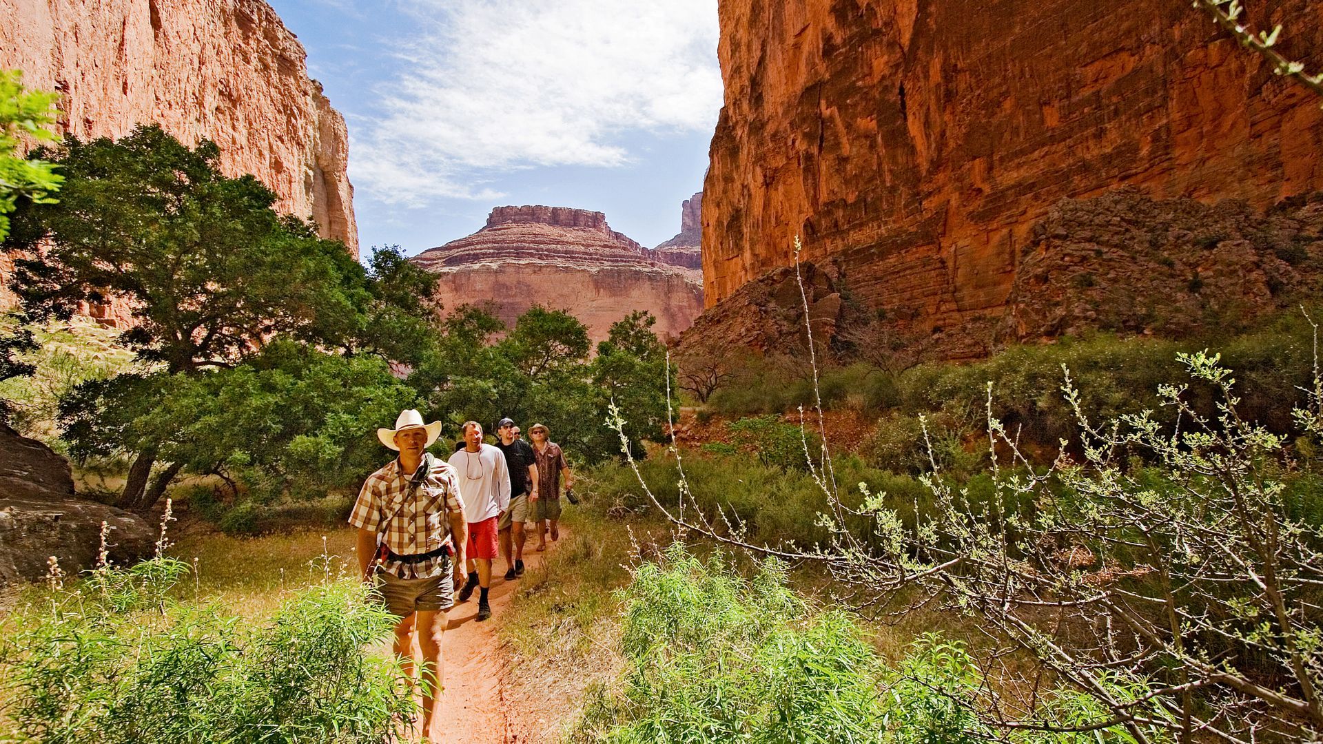 Hikers following a guide along a Grand Canyon trail