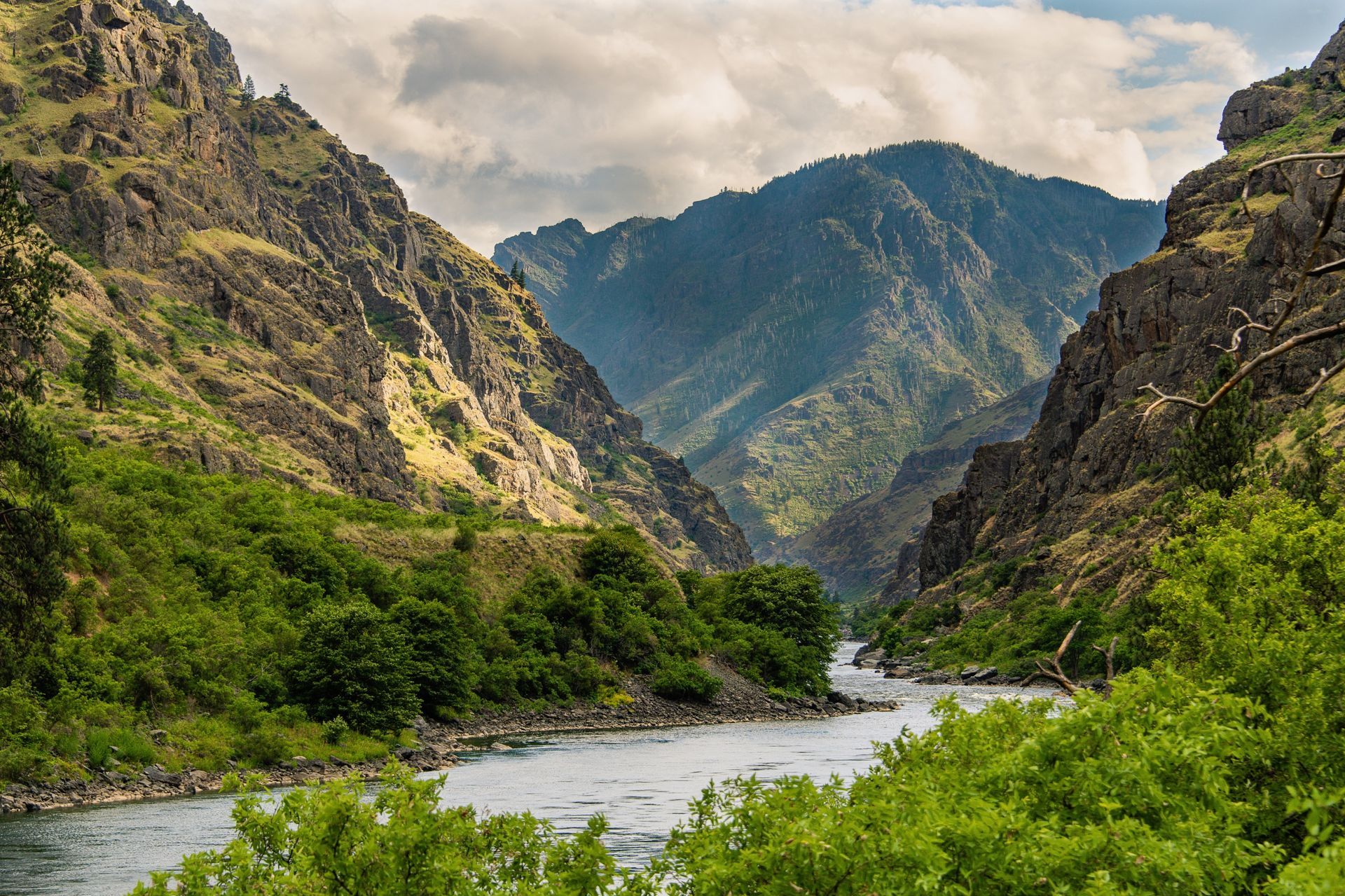 The Snake River flowing between rugged green canyon walls