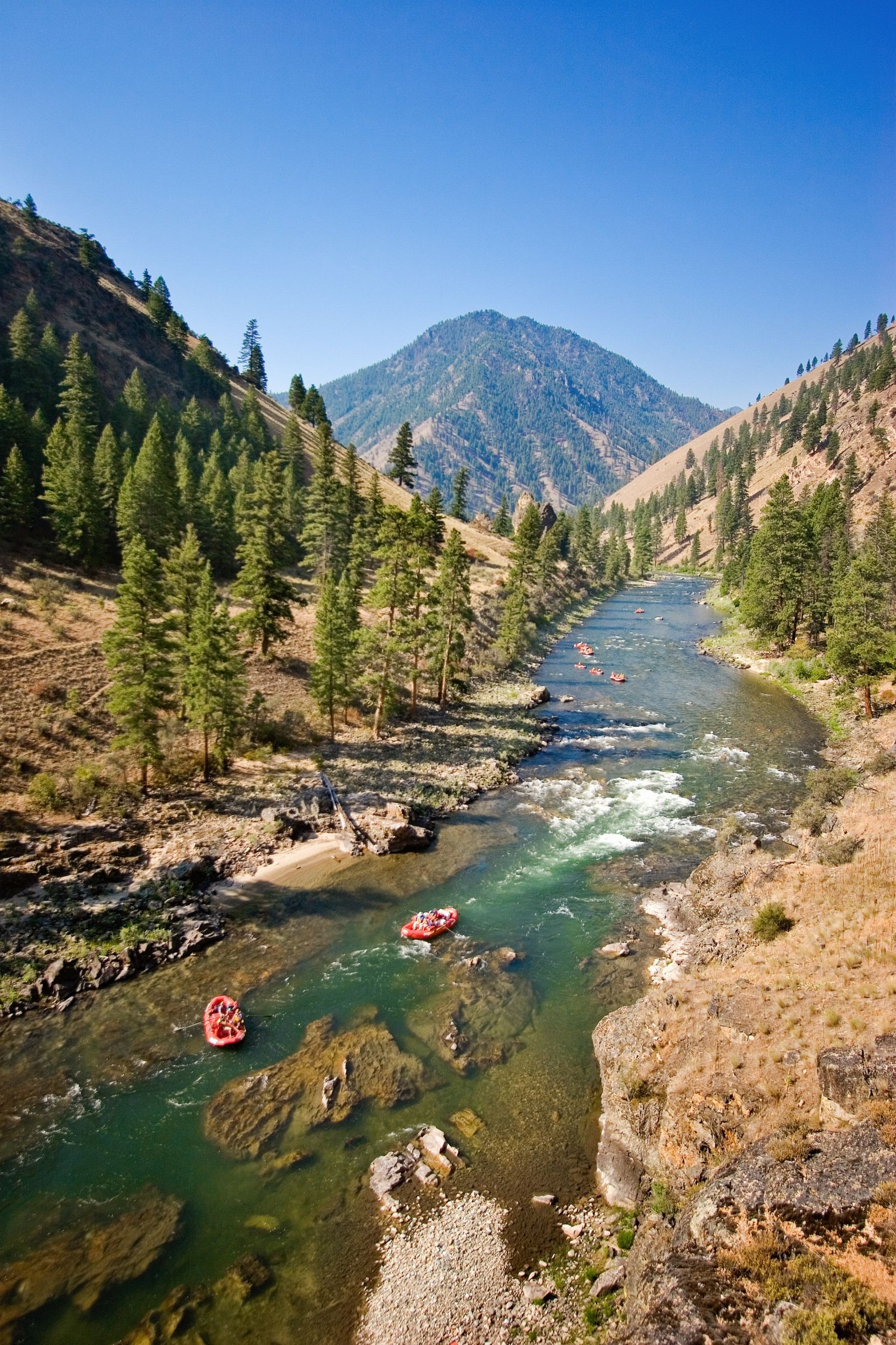 Middle Fork Salmon River winding through a forested mountain valley