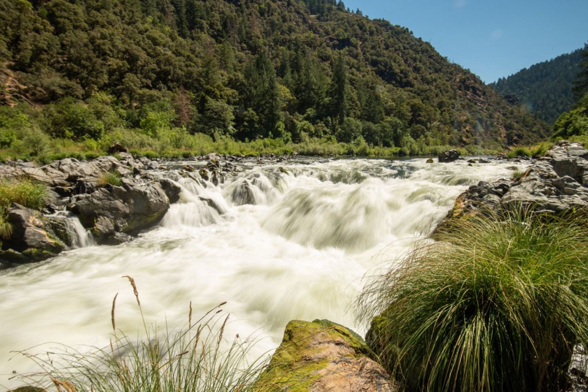 Rainie Falls rapid on the Rogue River, Oregon