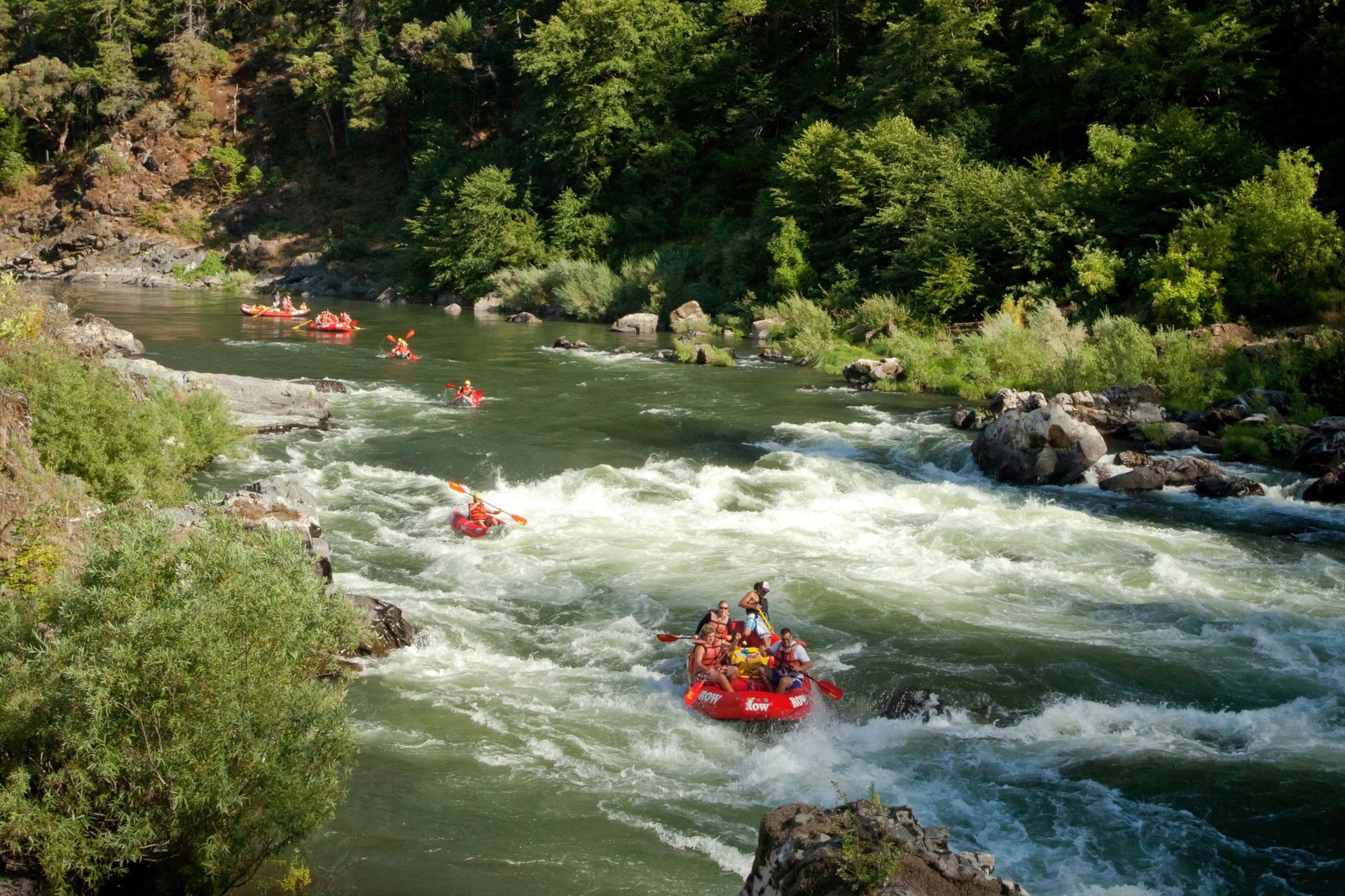 Rafts descend a stretch of Rogue River whitewater