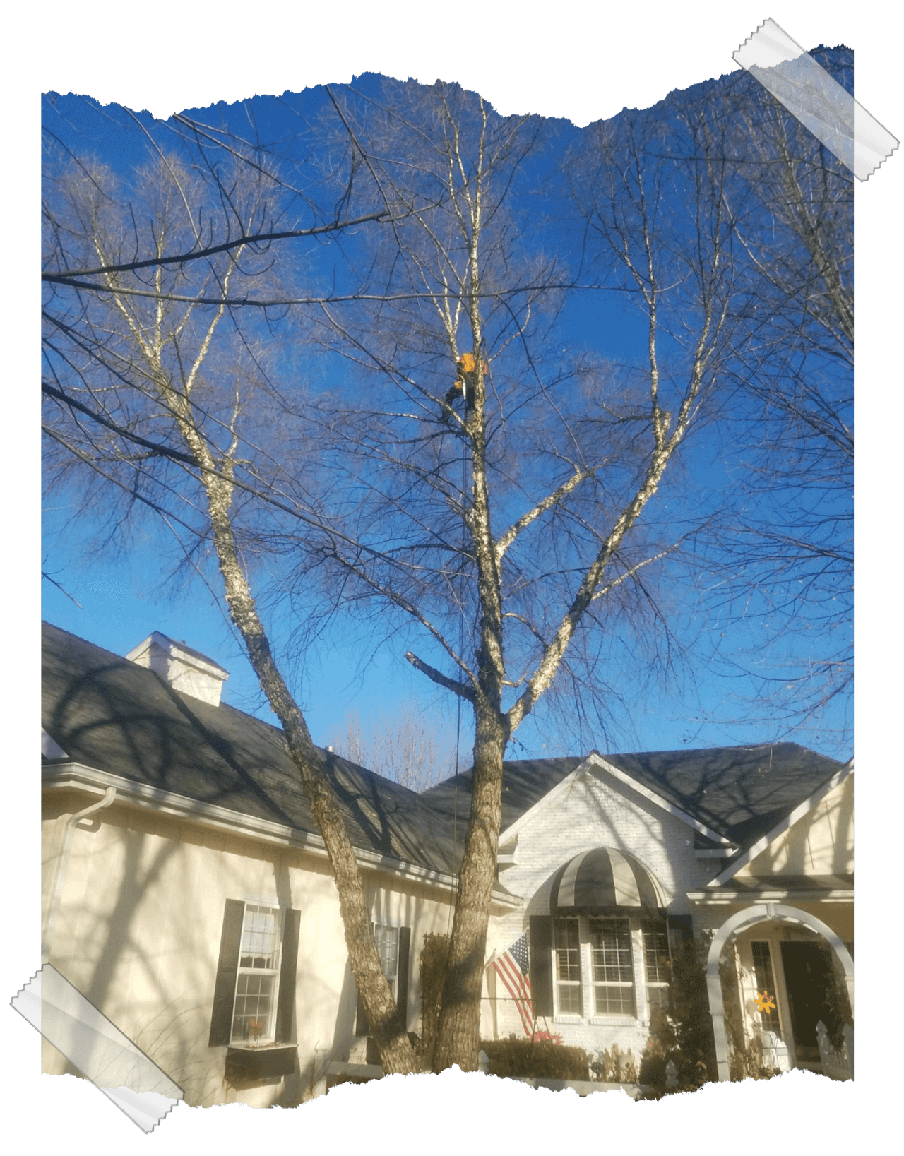 A picture of a house with a tree in front of it