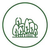A line drawing of a group of trees in a circle.