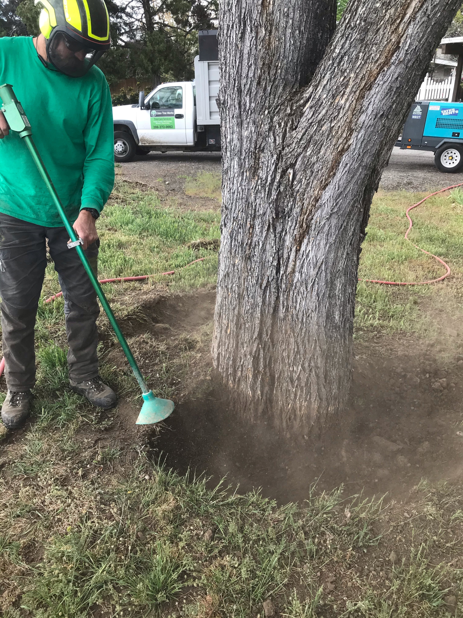 A man is cutting a tree with a lawn mower.