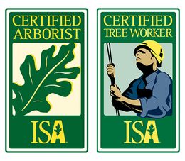 A certified arborist and a certified tree worker logo