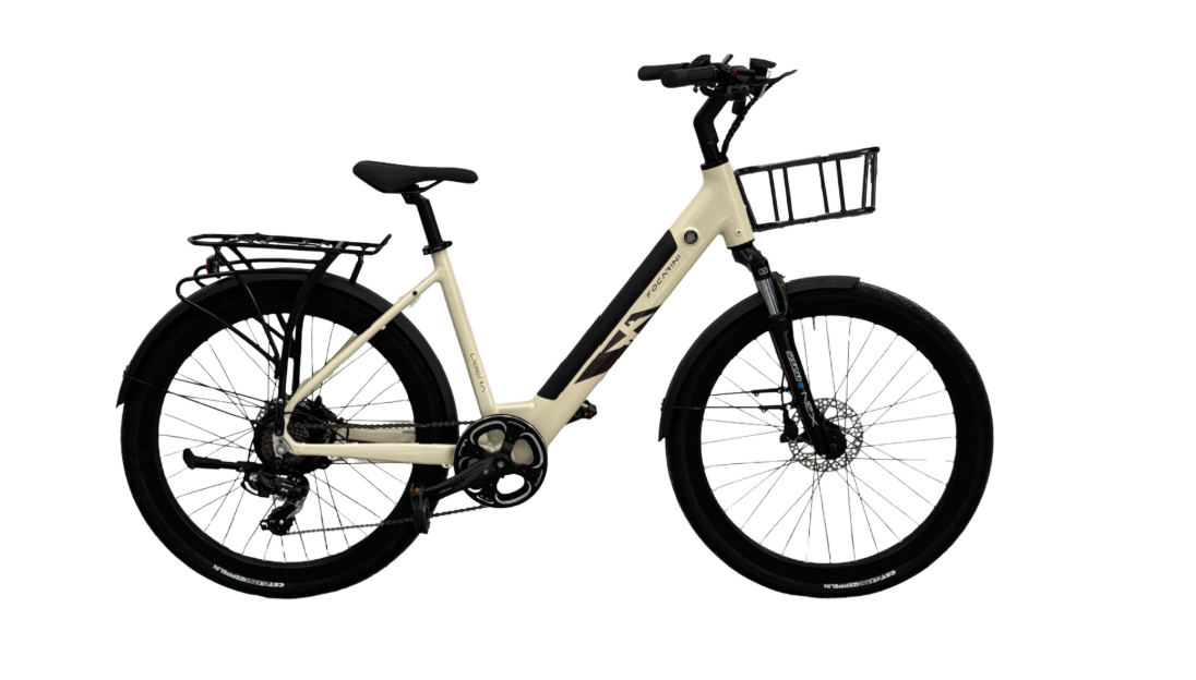 Bicicletta elettrica grigio scuro con pneumatici, sella e manubrio marroni, cestino anteriore e portapacchi posteriore.