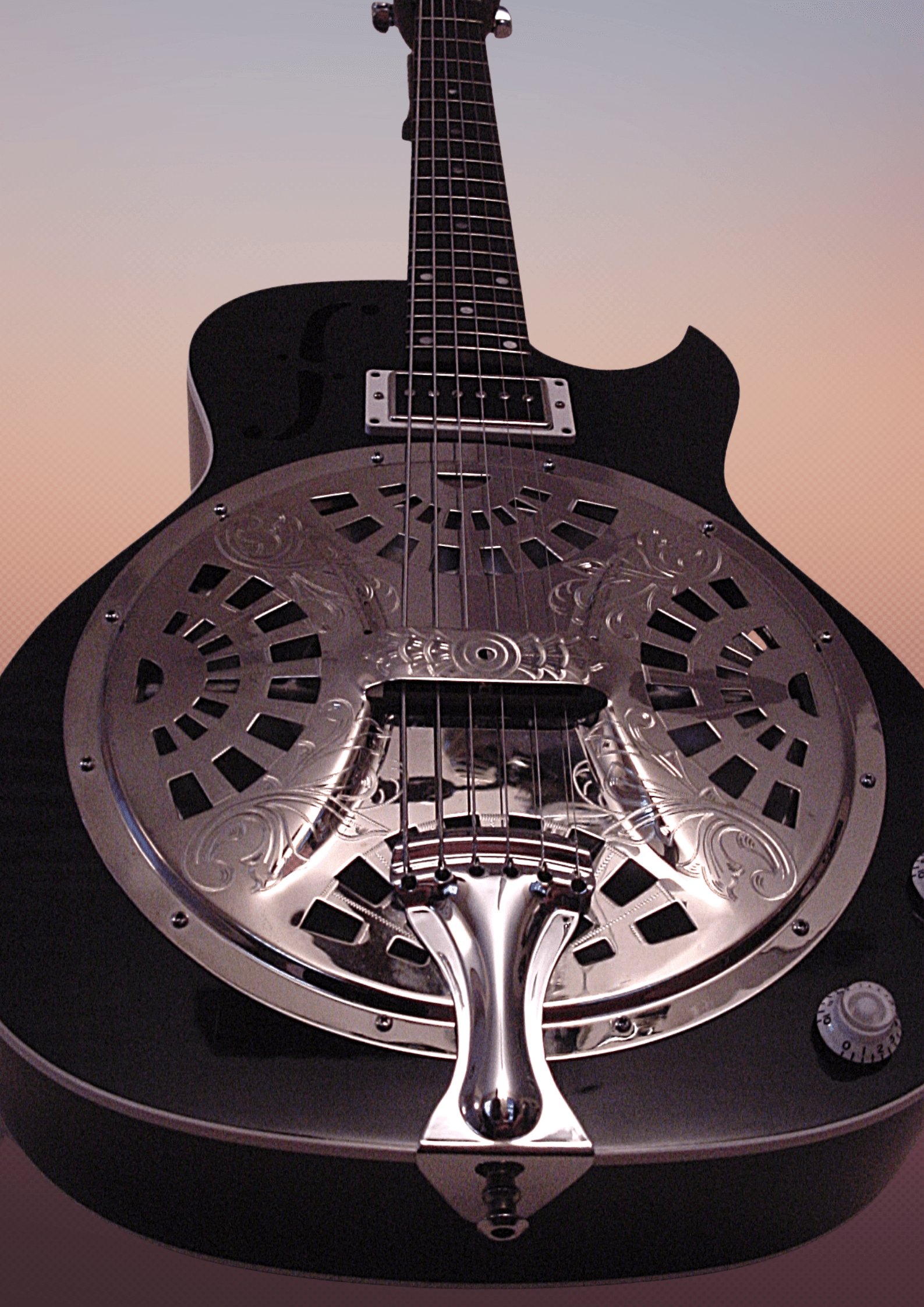 Dobro gitaar