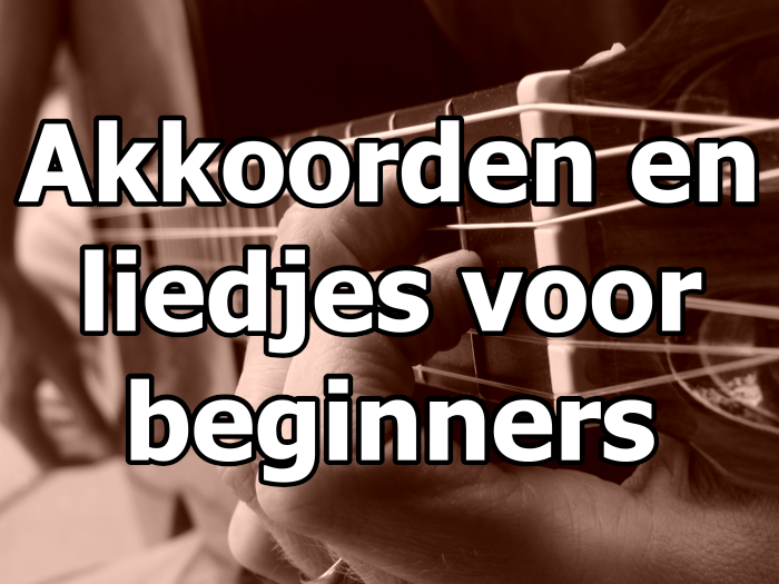Gitaarcursus van Gitaarstarters
