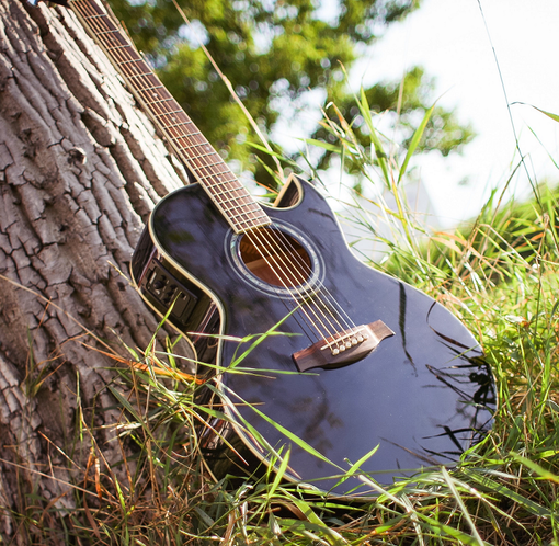 Gitaar_tegen_boom