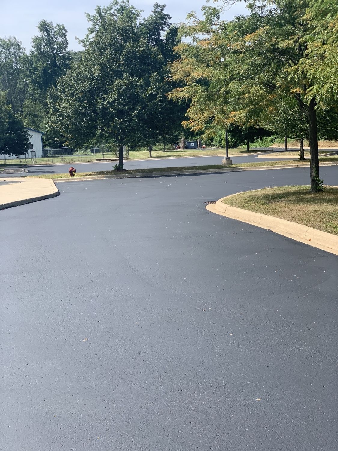 A black asphalt driveway surrounded by trees on a sunny day.