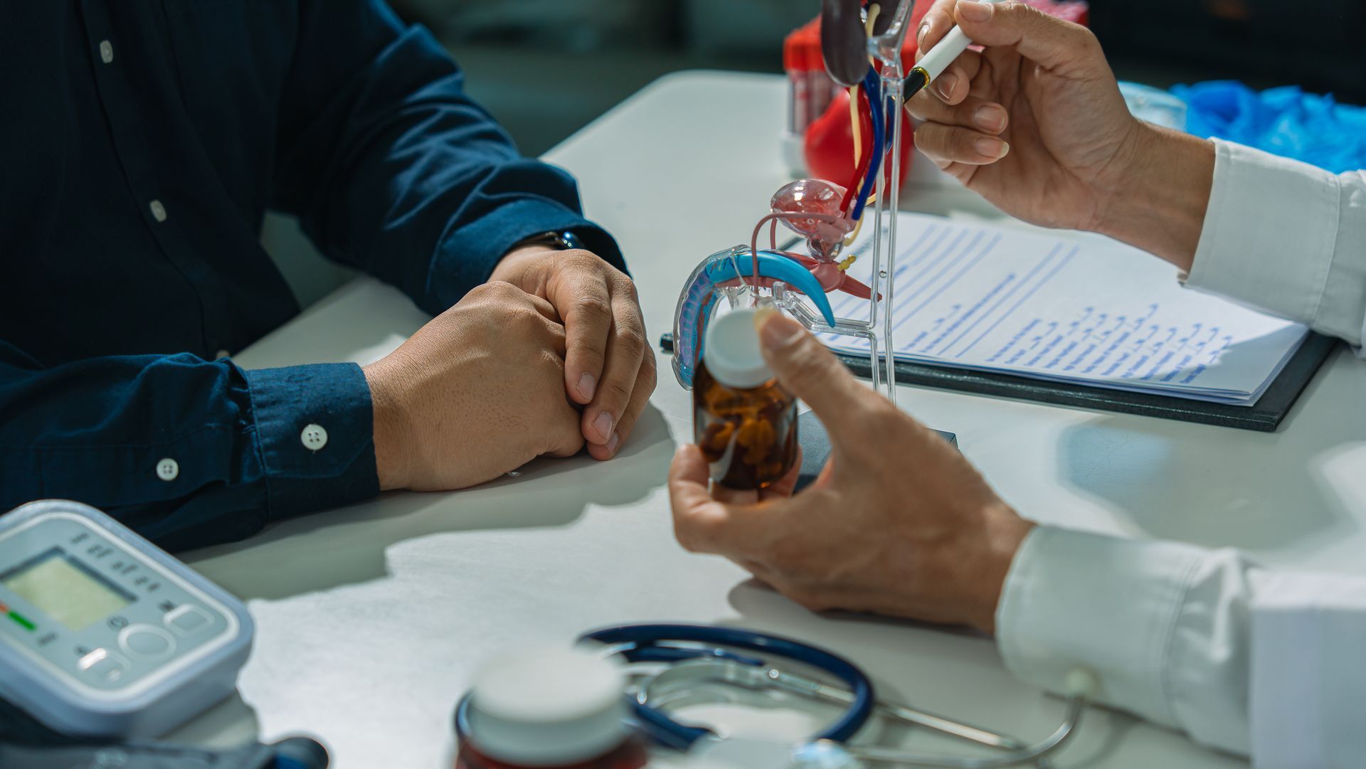 Doctor showing a heart model to a patient during a consultation at a desk Doctor showing a heart model to a patient during a consultation at a desk