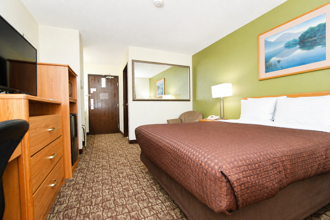Single Queen Room